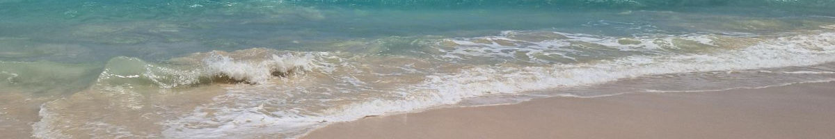 Strand Hawai'i